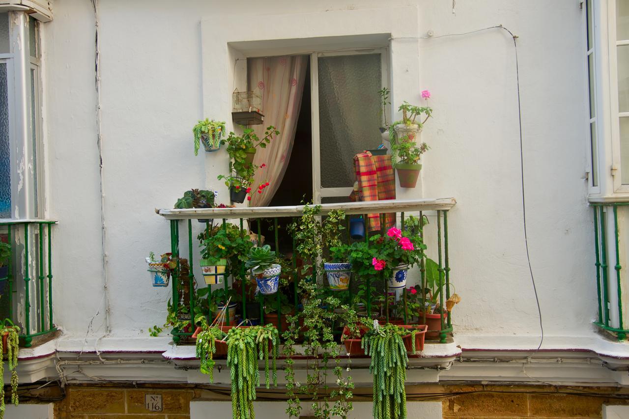 Spanish Galleon Lodge Cádiz Eksteriør bilde